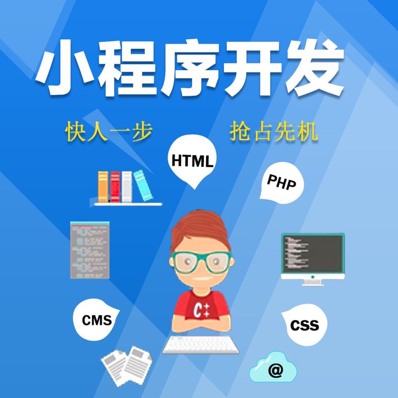 企业信息系统定制：构建适应未来的数字桥梁